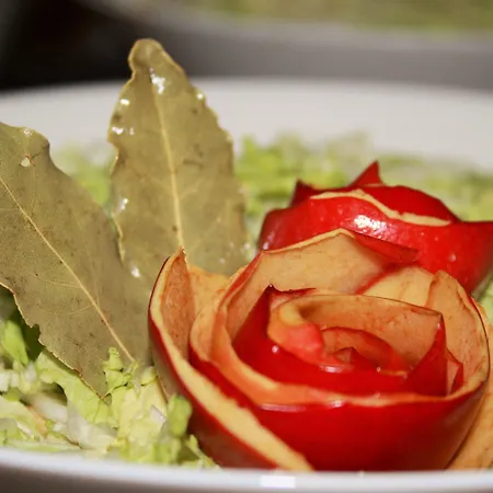 Hotel Dom Polonii Ostróda